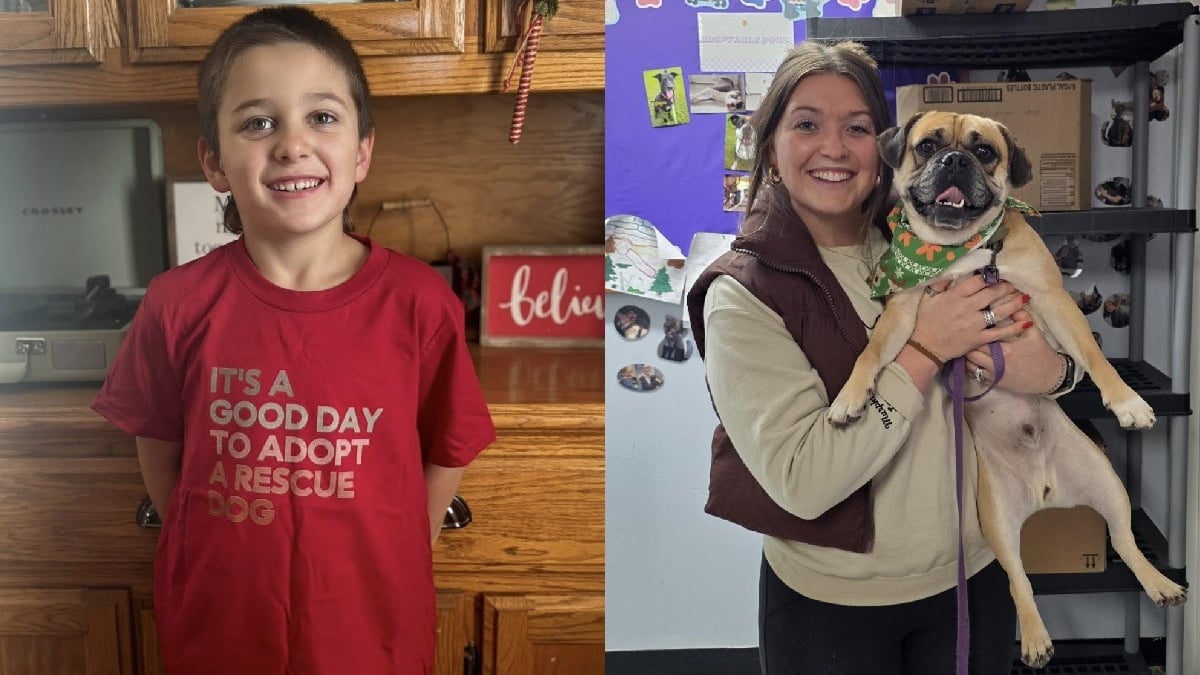 Illustration : "À 5 ans, il vend du chocolat chaud et récolte une somme folle pour offrir la liberté aux chiens du refuge"