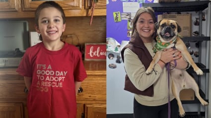 Illustration : &Agrave; 5 ans, il vend du chocolat chaud et r&eacute;colte une somme folle pour offrir la libert&eacute; aux chiens du refuge