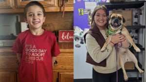 Illustration : À 5 ans, il vend du chocolat chaud et récolte une somme folle pour offrir la liberté aux chiens du refuge