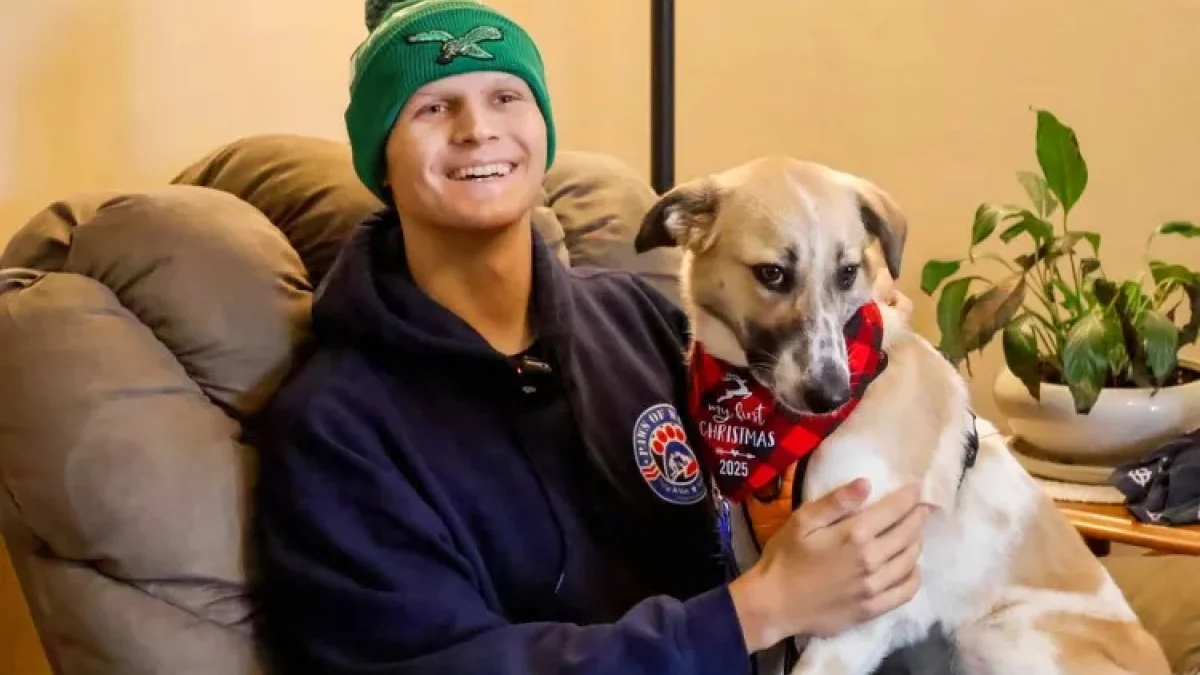 Illustration : "« Elle lui donne une raison d’espérer », un chiot sauvé par un soldat retrouve son ami pendant son traitement contre le cancer (vidéo)"