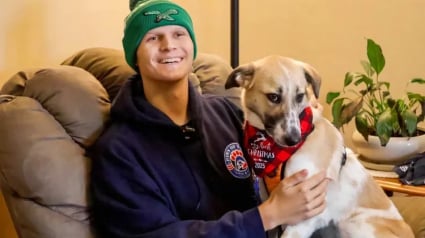 Illustration : &laquo; Elle lui donne une raison d&rsquo;esp&eacute;rer &raquo;, un chiot sauv&eacute; par un soldat retrouve son ami pendant son traitement contre le cancer (vid&eacute;o)