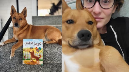 Illustration : Apr&egrave;s la disparition tragique de sa fille, une m&egrave;re ach&egrave;ve l&rsquo;histoire du chien qu&rsquo;elle avait &eacute;crite pour les enfants