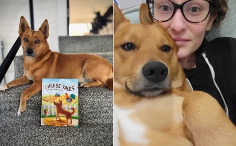 Après la disparition tragique de sa fille, une mère achève l’histoire du chien qu’elle avait écrite pour les enfants