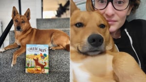 Illustration : Après la disparition tragique de sa fille, une mère achève l’histoire du chien qu’elle avait écrite pour les enfants