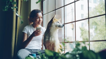 Illustration : Faute de financement, la ligne 3677- SOS Maltraitance Animale appelle aux dons pour assurer sa survie