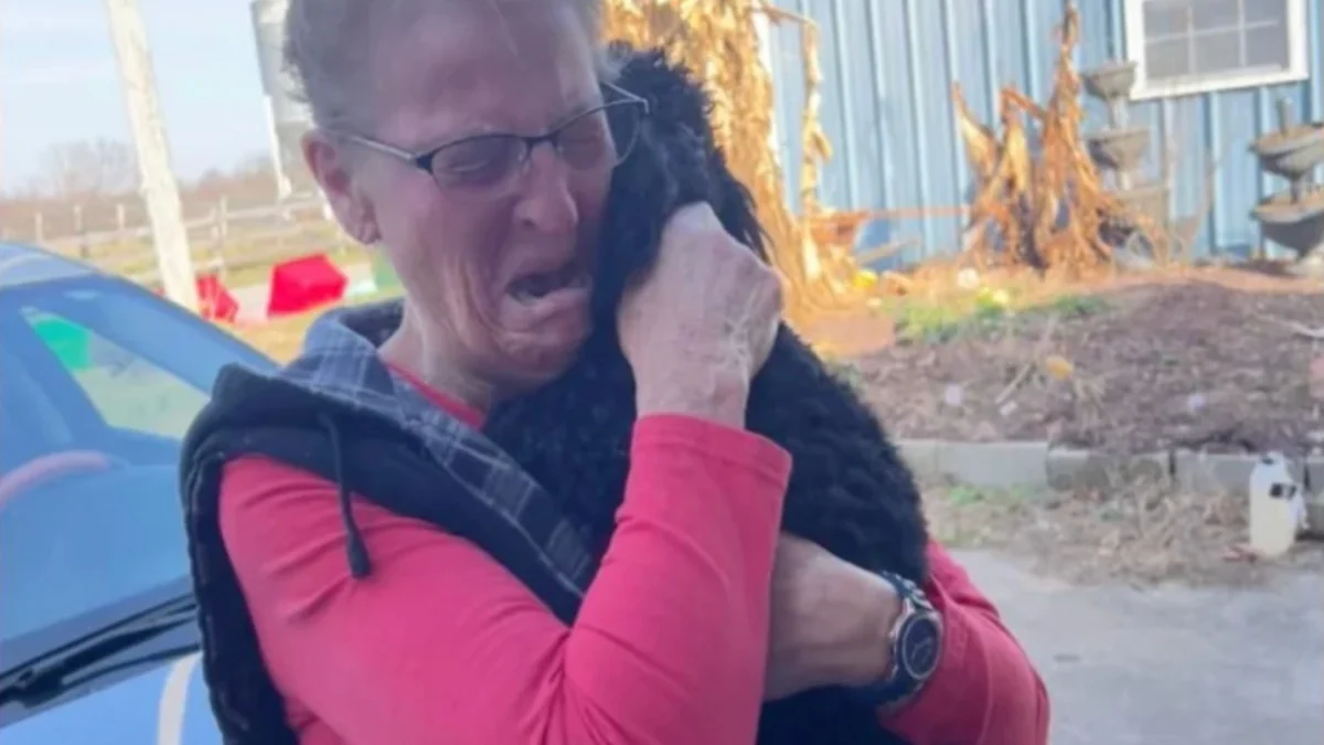 Illustration : "Sa fille lui promet une surprise et filme le moment où elle découvre que sa chienne est vivante (vidéo)"