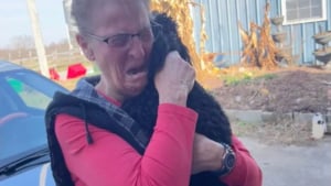 Illustration : Sa fille lui promet une surprise et filme le moment où elle découvre que sa chienne est vivante (vidéo)