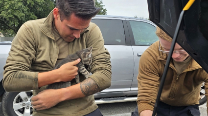 Illustration : Alert&eacute;s par des cris, 2 militaires ouvrent le capot d'un v&eacute;hicule et sauvent une vie minuscule