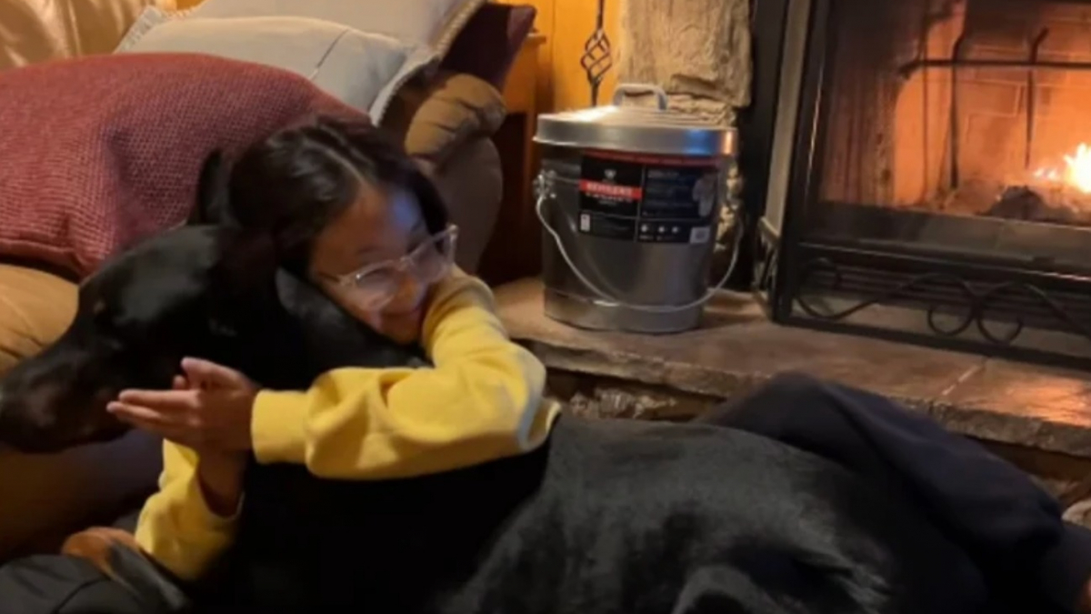 Illustration : "Émue par la relation unique entre sa fille et son Dobermann, une maman compile leurs plus beaux moments de complicité (vidéo)"