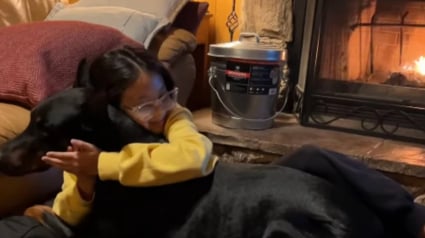 Illustration : &Eacute;mue par la relation unique entre sa fille et son Dobermann, une maman compile leurs plus beaux moments de complicit&eacute; (vid&eacute;o)