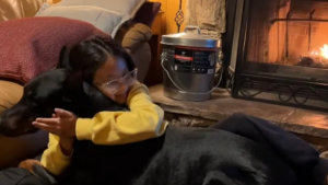 Illustration : Émue par la relation unique entre sa fille et son Dobermann, une maman compile leurs plus beaux moments de complicité (vidéo)