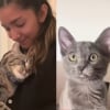 Illustration : Elle voulait une copine pour sa chatte c&acirc;line, elle se retrouve avec une tornade incontr&ocirc;lable &agrave; la maison (vid&eacute;o)