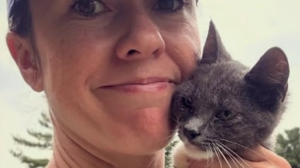 Illustration : Une joggeuse voit un chaton surgir et s'accrocher &agrave; sa cheville, cette rencontre change la vie de l'animal