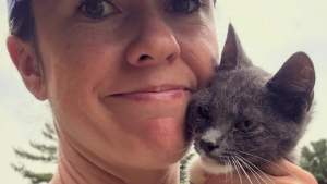 Illustration : Une joggeuse voit un chaton surgir et s'accrocher à sa cheville, cette rencontre change la vie de l'animal