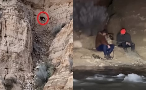 2 hommes traversent des eaux déchaînées pour secourir un Berger Allemand coincé sur une pente et se retrouvent piégés pendant des heures