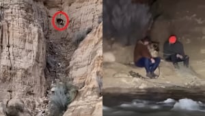 Illustration : "2 hommes traversent des eaux déchaînées pour secourir un Berger Allemand coincé sur une pente et se retrouvent piégés pendant des heures"