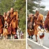 Illustration : &laquo; C'est une grande source d'inspiration &raquo;, un chien errant se joint &agrave; des moines bouddhistes lors d&rsquo;une marche pour la paix (vid&eacute;o)