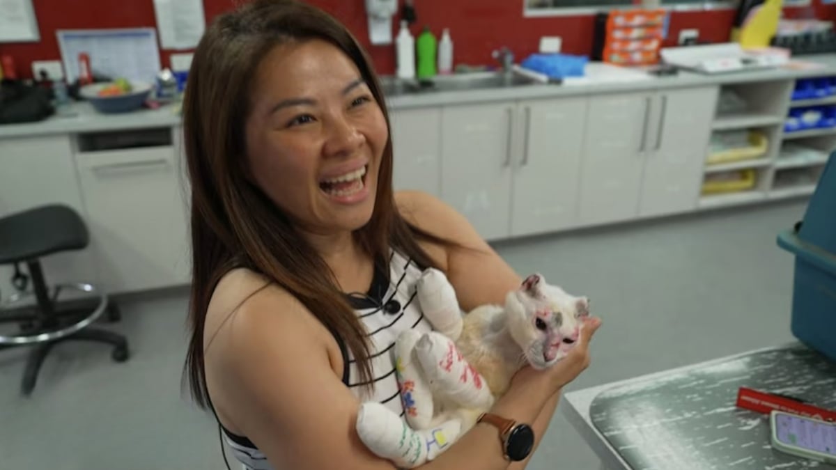 Illustration : "« Elle s'est battue pour s'en sortir », un incendie ravage sa maison, mais son chat brûlé trouve la force de vivre (vidéo)"