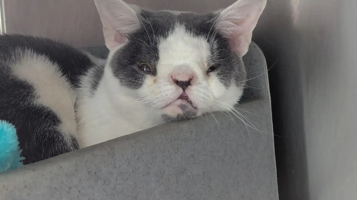 Illustration : "Abandonné car 