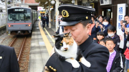 Illustration : Cette ligne de train allait fermer, des chats l'ont sauv&eacute;e de la faillite en g&eacute;n&eacute;rant des millions d'euros