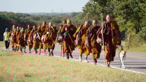 Illustration : « Opéré gratuitement », le geste magnifique d'une clinique pour sauver le chien mascotte d'une marche pour la paix