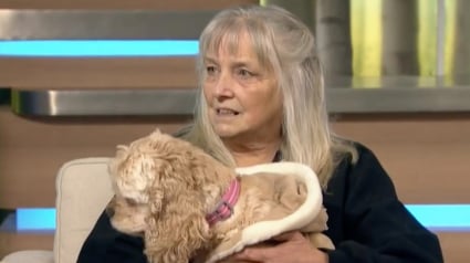 Illustration : Apr&egrave;s des ann&eacute;es de combat contre le cancer, une femme d&eacute;cide de consacrer sa vie aux chiens malades et abandonn&eacute;s (vid&eacute;o)