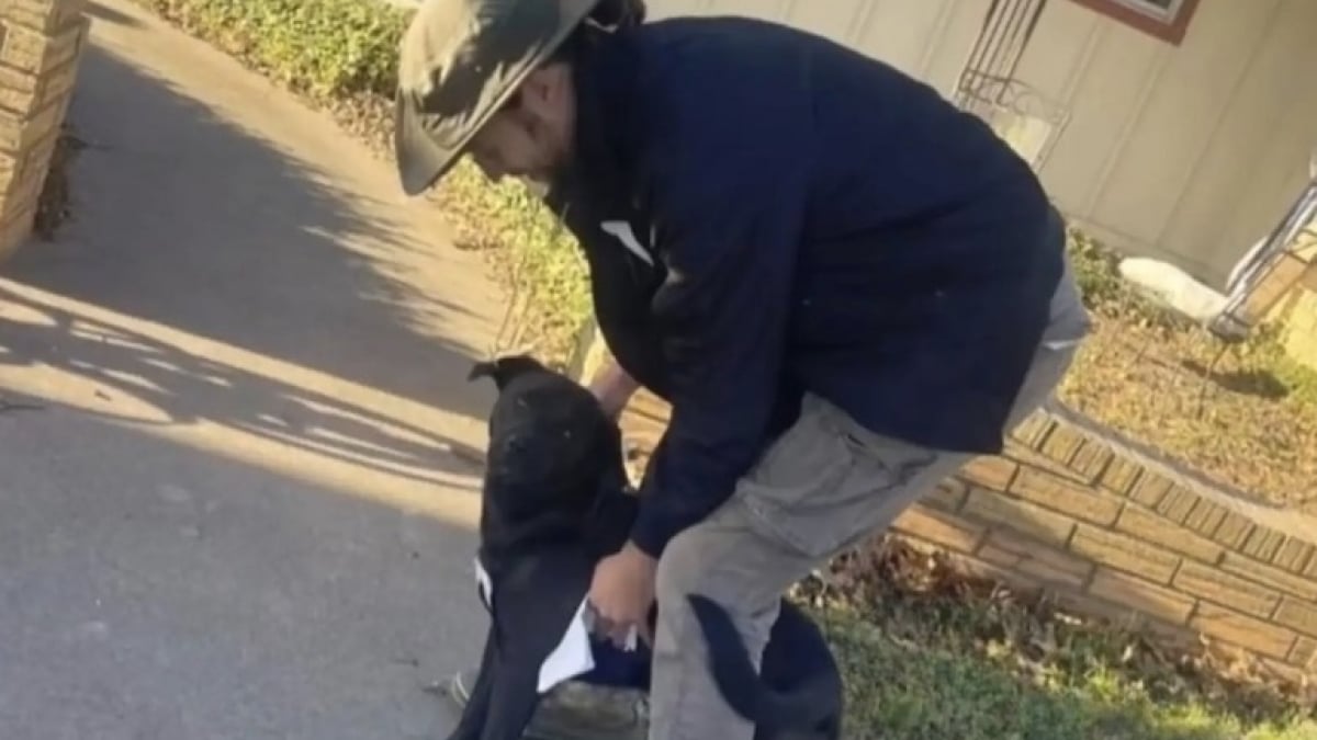 Illustration : "« Terriblement inquiet pour lui », un homme distribuant des prospectus pour retrouver son chien ne doute pas que celui-ci l’attend tout près (vidéo)"