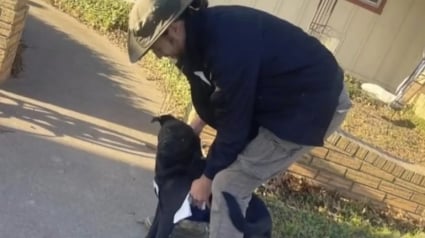 Illustration : &laquo; Terriblement inquiet pour lui &raquo;, un homme distribuant des prospectus pour retrouver son chien ne doute pas que celui-ci l&rsquo;attend tout pr&egrave;s (vid&eacute;o)