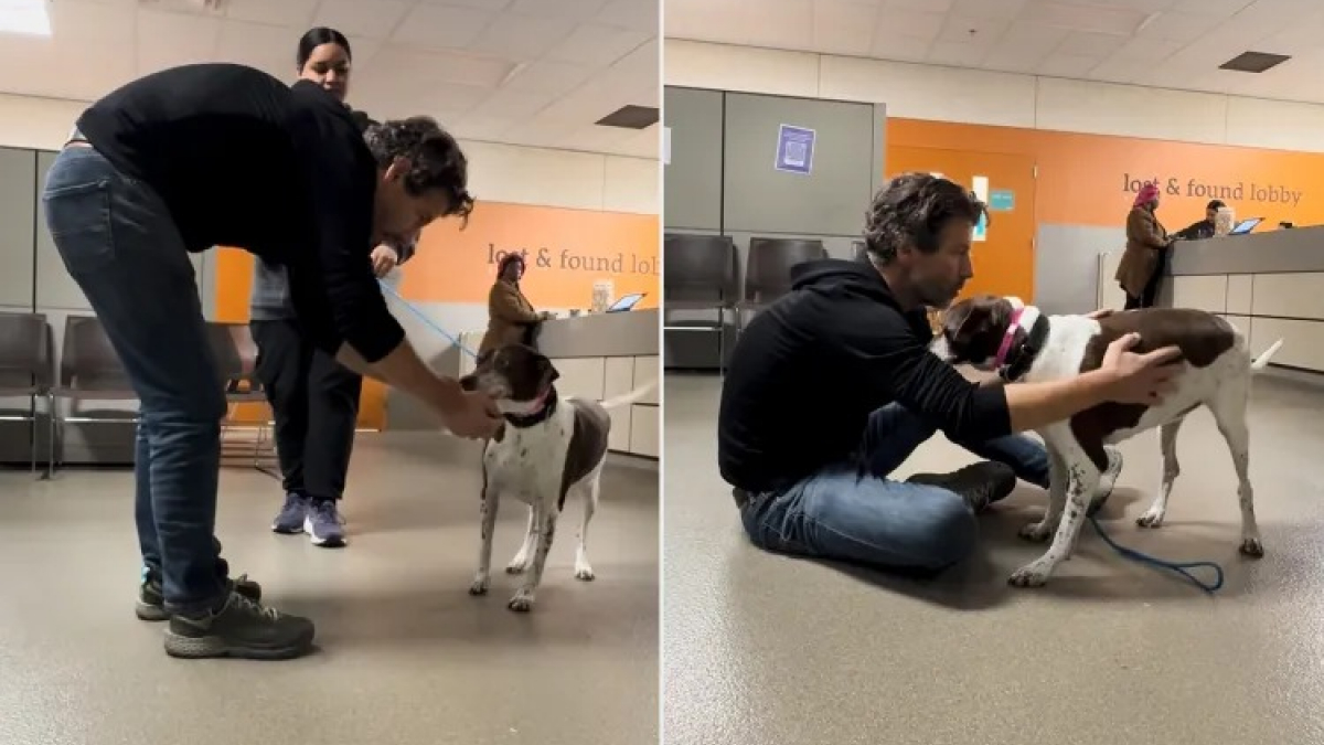 Illustration : "« J'ai eu l'impression de l'avoir laissée tomber », il recueille une chienne dans la neige et la retrouve abandonnée 12 ans plus tard (vidéo)"