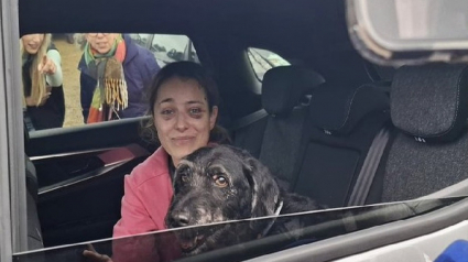 Illustration : La jambe dans le pl&acirc;tre, elle refuse d'&ecirc;tre hospitalis&eacute;e sans savoir ce qu'est devenu son chien disparu dans le crash