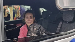 Illustration : La jambe dans le plâtre, elle refuse d'être hospitalisée sans savoir ce qu'est devenu son chien disparu dans le crash