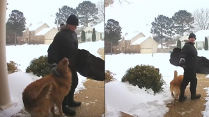 Illustration : Cette chienne câline et accro aux sensations fortes est toute joyeuse quand les enfants l'invitent à jouer à la luge (vidéo)