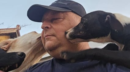 Illustration : 10 photos de chiens sauv&eacute;s de la rue par un refuge