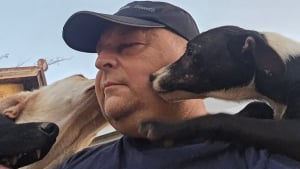 Illustration : 10 photos de chiens sauv&eacute;s de la rue par un refuge