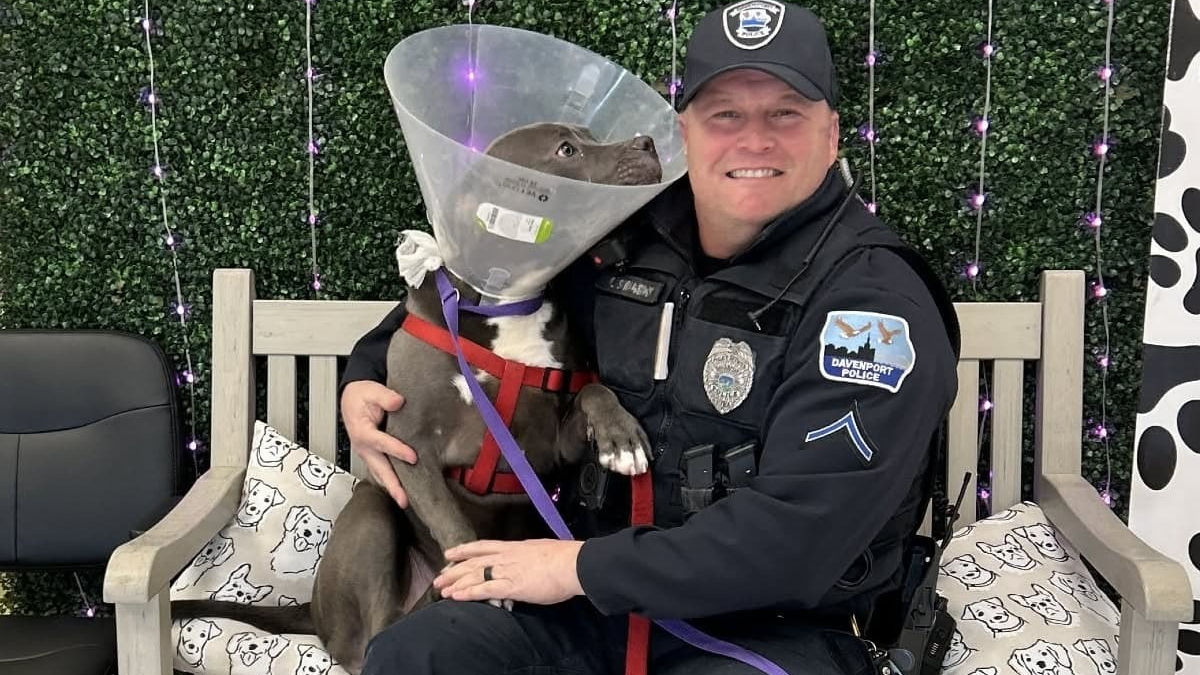 Illustration : "Hanté par le souvenir du chiot attaché dehors qu'il avait sauvé, ce policier a fini par écouter son cœur en prenant une décision qui a changé leur vie à tous les deux"