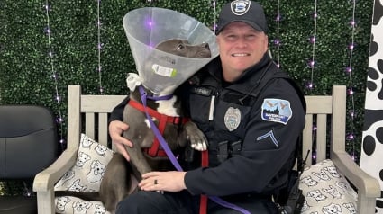 Illustration : Hant&eacute; par le souvenir du chiot attach&eacute; dehors qu'il avait sauv&eacute;, ce policier a fini par &eacute;couter son c&oelig;ur en prenant une d&eacute;cision qui a chang&eacute; leur vie &agrave; tous les deux
