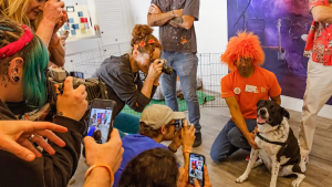Illustration : Cette chienne attend depuis si longtemps au refuge que les bénévoles décident d'organiser un festival en son honneur