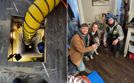 Ils cherchent leur chienne depuis 3 jours et la retrouvent au fond d’un puits sous leur maison dont ils ignoraient l’existence