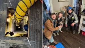 Illustration : Ils cherchent leur chienne depuis 3 jours et la retrouvent au fond d&rsquo;un puits sous leur maison dont ils ignoraient l&rsquo;existence