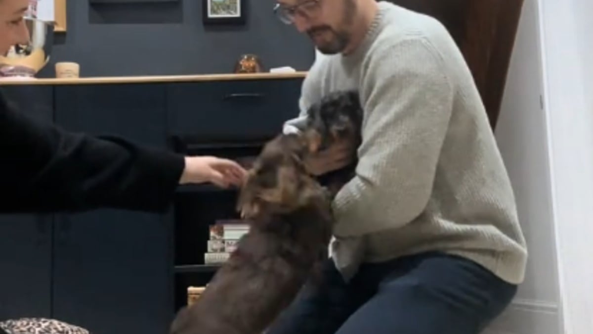 Illustration : "Quand la porte s'ouvre et son nouveau petit frère apparaît, cette chienne ne tient plus en place (vidéo)"