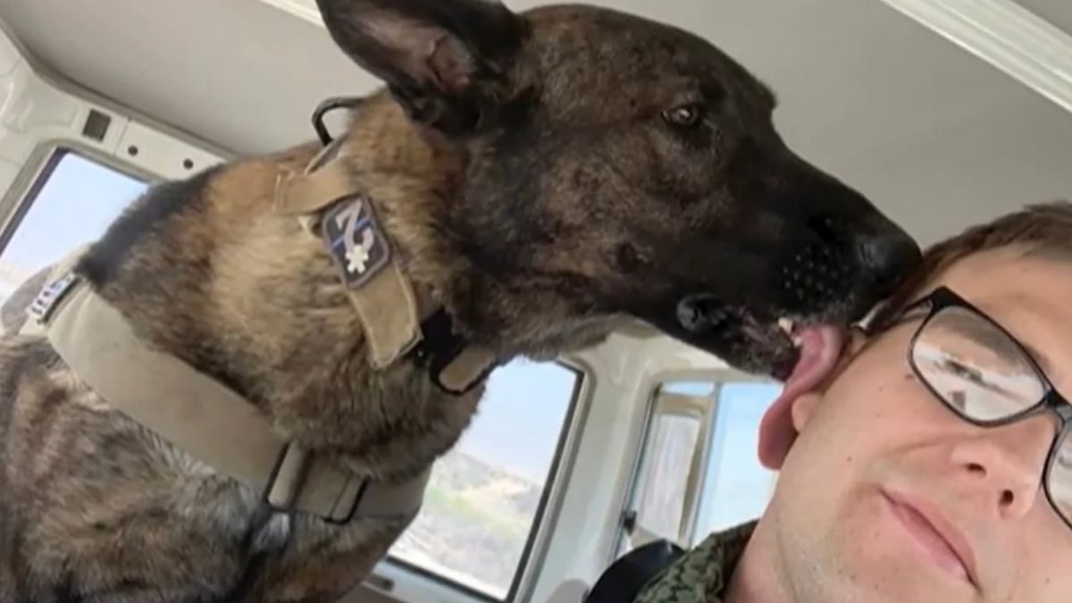 Illustration : "Séparé de son partenaire de mission pendant 2 ans, un maître-chien finit par le retrouver lors de sa retraite et décide de lui offrir une vie de famille"