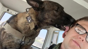 Illustration : Séparé de son partenaire de mission pendant 2 ans, un maître-chien finit par le retrouver lors de sa retraite et décide de lui offrir une vie de famille