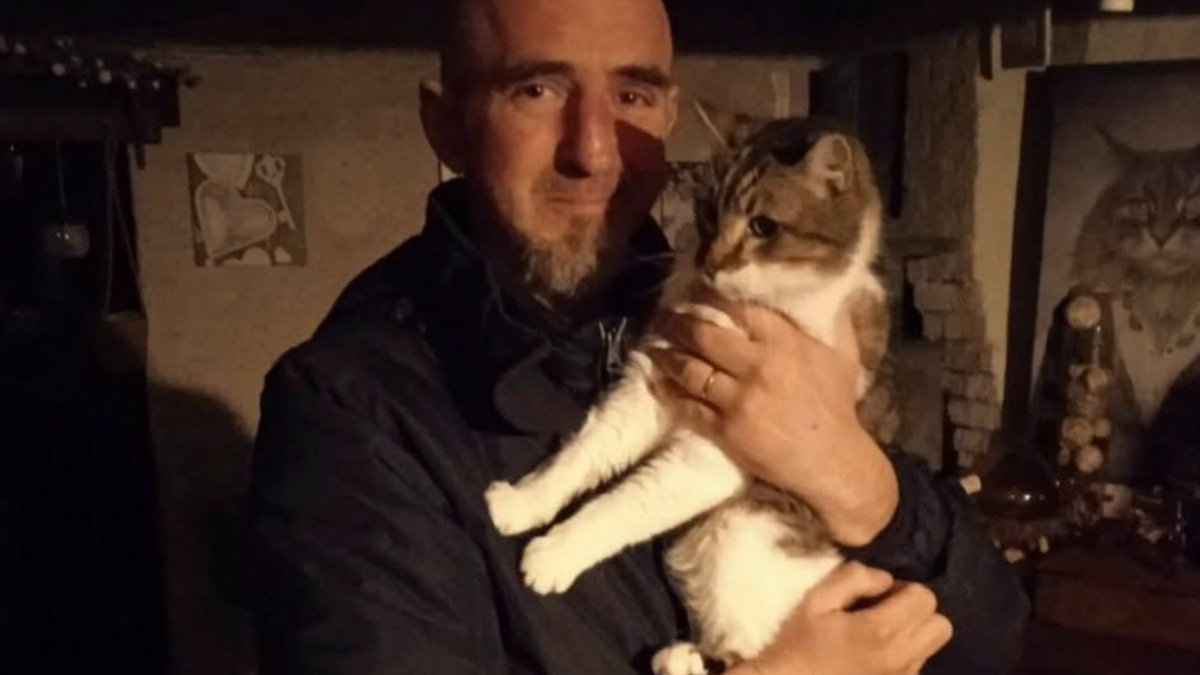 Illustration : "En préparant un chat sénior à l'adoption, elle fait contrôler sa puce et découvre une étonnante histoire vieille de 14 ans"