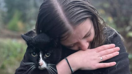 Illustration : &laquo; C'&eacute;tait indescriptible &raquo;, gr&acirc;ce &agrave; la solidarit&eacute; de la communaut&eacute;, une femme retrouve son chat d'enfance apr&egrave;s des semaines de disparition angoissantes (vid&eacute;o)