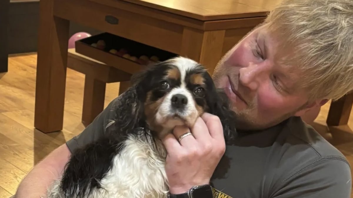 Illustration : "Retrouvée vivante mais piégée dans des barbelés par des chasseurs, cette Cavalier King Charles a survécu seule à l'hiver malgré son âge avancé (vidéo)"