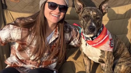 Illustration : Musel&eacute; et incapable de boire ou manger apr&egrave;s sa fuite, ce chien a &eacute;t&eacute; rep&eacute;r&eacute; in extremis par la cam&eacute;ra thermique d'un drone