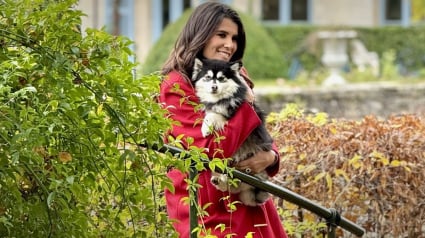 Illustration : La SPA pr&eacute;sente &laquo; L&rsquo;Hebdo des animaux &raquo;, sa nouvelle &eacute;mission de t&eacute;l&eacute;vision hebdomadaire d&eacute;di&eacute;e aux animaux qui d&eacute;marrera le 1er mars sur RMC Life