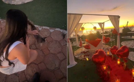 Un homme prépare sa demande romantique au coucher du soleil, mais un chat errant s'invite pour réclamer des caresses (vidéo)