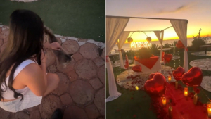 Illustration : Un homme prépare sa demande romantique au coucher du soleil, mais un chat errant s'invite pour réclamer des caresses (vidéo)