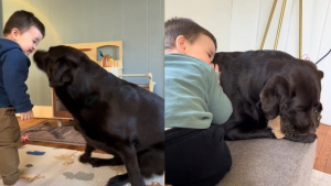 Illustration : Un bébé éclate de rire face aux tendres pitreries de son ami chien, avec qui le lien se renforce jour après jour (vidéo)